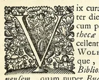 An illustration from Jacobi Tollii epistolae itinerariae : ex auctoris schedis postumis recensitae, suppletae, digestae : annotationibus, observationibus & figuris adornatae (1700)