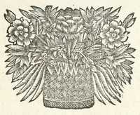 An illustration from Jacobi Tollii epistolae itinerariae : ex auctoris schedis postumis recensitae, suppletae, digestae : annotationibus, observationibus & figuris adornatae (1700)