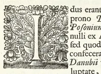 An illustration from Jacobi Tollii epistolae itinerariae : ex auctoris schedis postumis recensitae, suppletae, digestae : annotationibus, observationibus & figuris adornatae (1700)