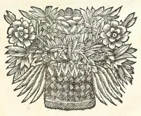 An illustration from Jacobi Tollii epistolae itinerariae : ex auctoris schedis postumis recensitae, suppletae, digestae : annotationibus, observationibus & figuris adornatae (1700)