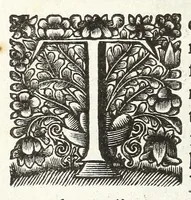 An illustration from Jacobi Tollii epistolae itinerariae : ex auctoris schedis postumis recensitae, suppletae, digestae : annotationibus, observationibus & figuris adornatae (1700)