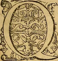 An illustration from Jacobi Zabarellæ Patavini de rebus naturalibus libri XXX : quibus quæstiones, quæ ab Aristotelis interpretibus hodie tractati solent, accurate discutiuntur. Cum triplici indices uno librorum, altero capitum omnium librorum, tertio rerum omnium notatu dignarum, quæ toto volumine continentur (1597)