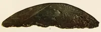 Picture 4 of 8 from Jade in British Columbia and Alaska, and its use by the natives (1923), leaf 101