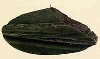 An illustration from Jade in British Columbia and Alaska, and its use by the natives (1923)