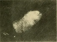 An illustration from Jahrbuch der hamburgischen Wissenschaftlichen Anstalten (1883)