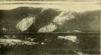 An illustration from Jahrbuch der hamburgischen Wissenschaftlichen Anstalten (1883)