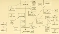 Picture 54 of 166 from Jahrbuch der hamburgischen Wissenschaftlichen Anstalten (1883), leaf 618
