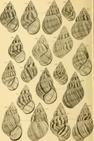 Picture 79 of 166 from Jahrbuch der hamburgischen Wissenschaftlichen Anstalten (1883), leaf 759