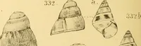 Picture 86 of 166 from Jahrbuch der hamburgischen Wissenschaftlichen Anstalten (1883), leaf 773