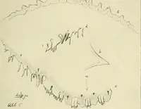 An illustration from Jahrbuch der hamburgischen Wissenschaftlichen Anstalten (1883)