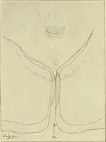 Picture 126 of 166 from Jahrbuch der hamburgischen Wissenschaftlichen Anstalten (1883), leaf 925