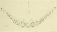 Picture 129 of 166 from Jahrbuch der hamburgischen Wissenschaftlichen Anstalten (1883), leaf 928