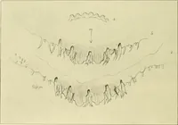 Picture 130 of 166 from Jahrbuch der hamburgischen Wissenschaftlichen Anstalten (1883), leaf 929