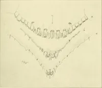 Picture 140 of 166 from Jahrbuch der hamburgischen Wissenschaftlichen Anstalten (1883), leaf 948