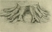 Picture 163 of 166 from Jahrbuch der hamburgischen Wissenschaftlichen Anstalten (1883), leaf 992