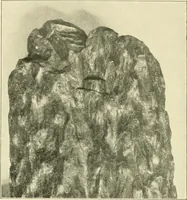 An illustration from Jahrbuch der hamburgischen Wissenschaftlichen Anstalten (1883)