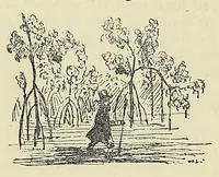 Picture 6 of 7 from James Hannington, first bishop of eastern equatorial Africa : a history of his life and work, 1847-1885 / by E.C. Dawson (1891), leaf 358