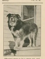 Picture 14 of 15 from January 1928 (1927), leaf 16