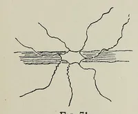 An illustration from Japan day by day, 1877, 1878-79, 1882-83 (1917)