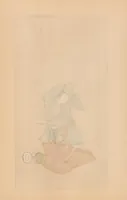 An illustration from Japanese art folio (1898)