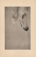 An illustration from Japanese art folio (1898)