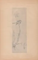 An illustration from Japanese art folio (1898)