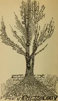 An illustration from Japanese chess (sho-ngi); the science and art of war or struggle philosophically treated (1905)