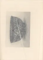 An illustration from A Japanese collection ... (1898)