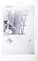 Picture 14 of 18 from Japanese colour prints (1910), leaf 226