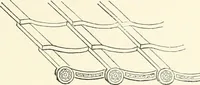 Picture 60 of 242 from Japanese homes and their surroundings (1895), leaf 122