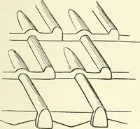 An illustration from Japanese homes and their surroundings (1895)