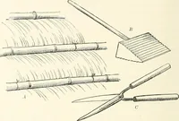An illustration from Japanese homes and their surroundings (1895)