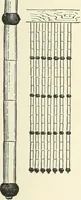 An illustration from Japanese homes and their surroundings (1895)