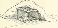 An illustration from Japanese homes and their surroundings (1895)
