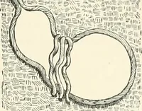 An illustration from Japanese homes and their surroundings (1895)