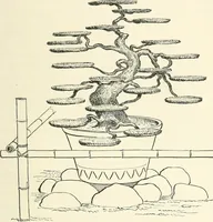 Picture 219 of 242 from Japanese homes and their surroundings (1895), leaf 324