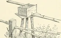 Picture 230 of 242 from Japanese homes and their surroundings (1895), leaf 336
