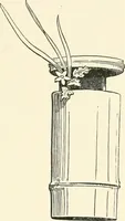 Picture 232 of 242 from Japanese homes and their surroundings (1895), leaf 340