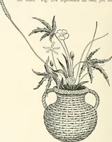An illustration from Japanese homes and their surroundings (1895)