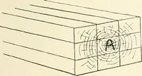 Picture 17 of 242 from Japanese homes and their surroundings (1895), leaf 60