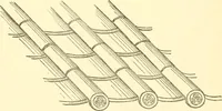 An illustration from Japanese homes and their surroundings (1885)