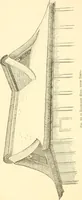 An illustration from Japanese homes and their surroundings (1885)