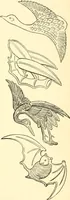 An illustration from Japanese homes and their surroundings (1885)