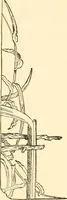 An illustration from Japanese homes and their surroundings (1885)
