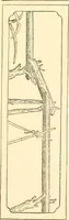 An illustration from Japanese homes and their surroundings (1885)