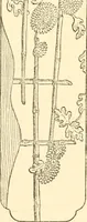 An illustration from Japanese homes and their surroundings (1885)