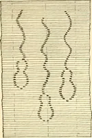 An illustration from Japanese homes and their surroundings (1885)