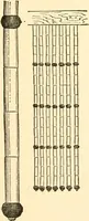 An illustration from Japanese homes and their surroundings (1885)
