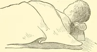An illustration from Japanese homes and their surroundings (1885)