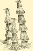 An illustration from Japanese homes and their surroundings (1885)